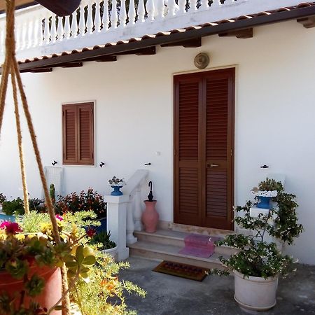 Casa Da Luisa Countryhouse نوتشي المظهر الخارجي الصورة